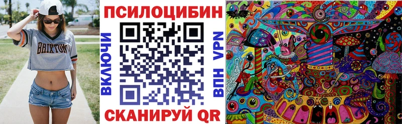 Купить закладки  Свободный  Псилоцибиновые грибы мухоморы 