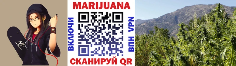 Каннабис SATIVA & INDICA  Купить закладки  Свободный 